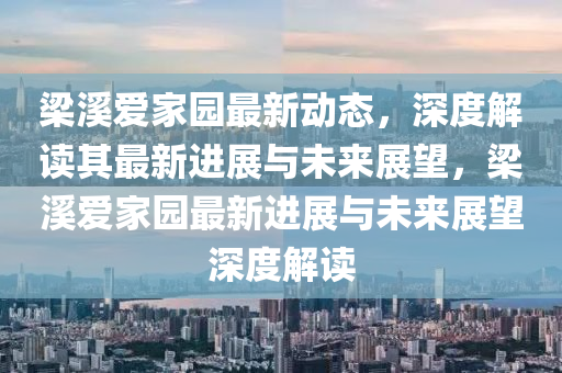 梁溪爱家园最新动态，深度解读其最新进展与未来展望，梁溪爱家园最新进展与未来展望深度解读中山市多米克自动化设备有限公司