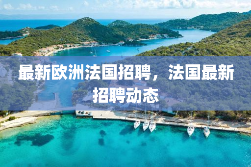 最新欧洲法国招聘，法国最新招聘动中山市多米克自动化设备有限公司态