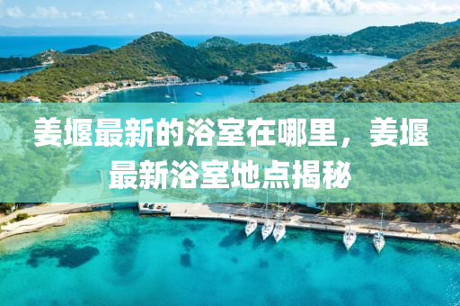姜堰最新的浴室在哪里，姜堰最新浴室地点揭秘中山市多米克自动化设备有限公司