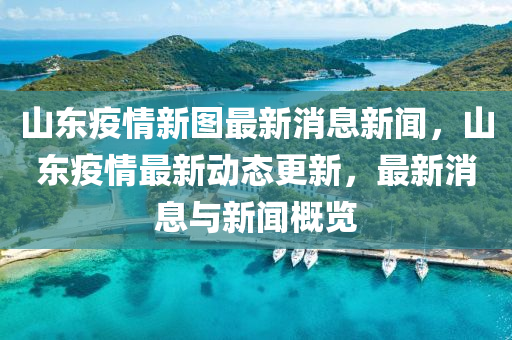 山东疫情新图最新消息新闻，山东疫情最新动态更新，最新消息与新闻概览中山市多米克自动化设备有限公司